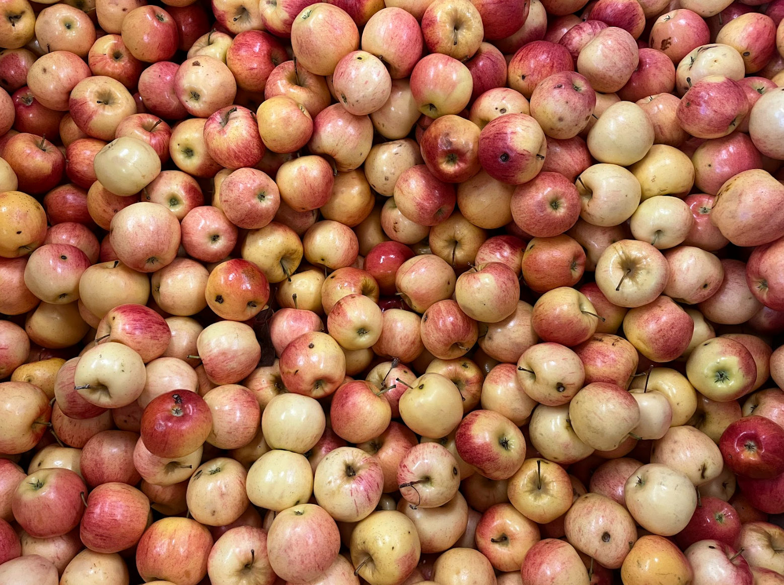 Upcoming Class! Apple Orchard in a Jar: Boiling Water Canning 101