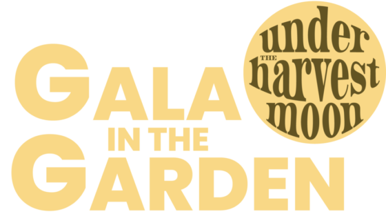 Yellow Gala Logo 2026@300x